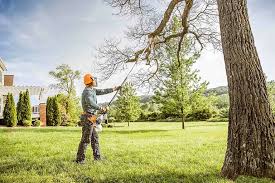 Best Tree Maintenance Programs  in Garnet, CA